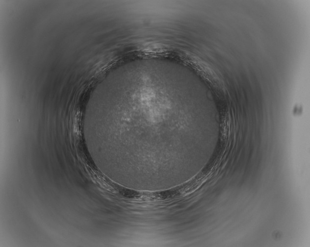 X0000094431346200711081217