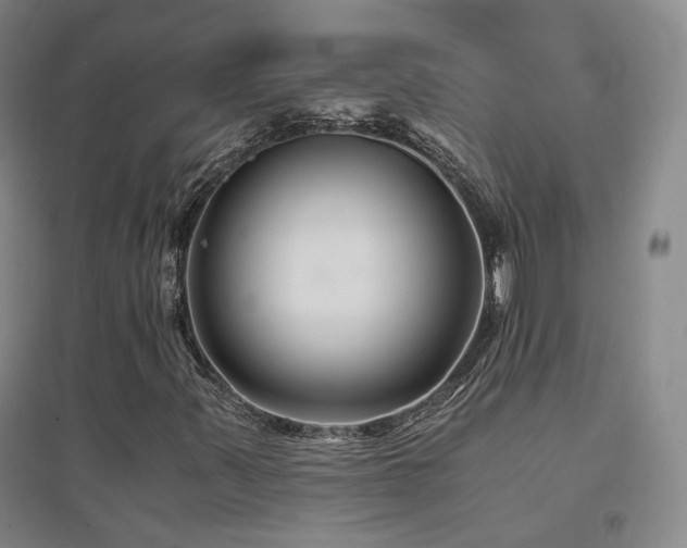 X0000094431347200711081217