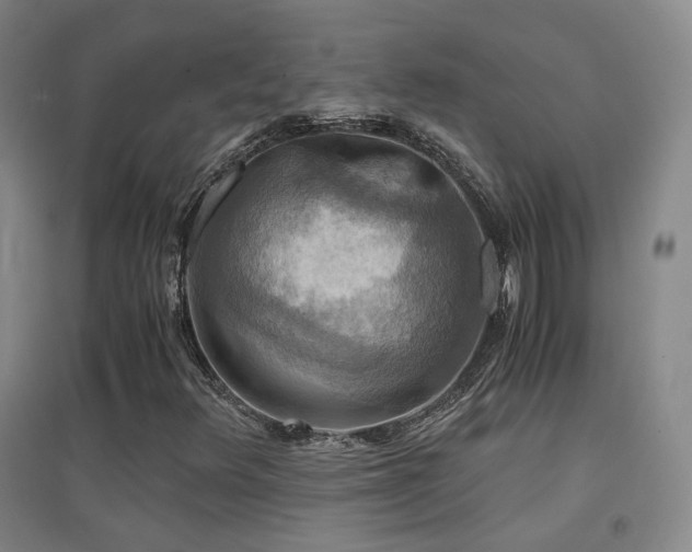 X0000094431348200711081217