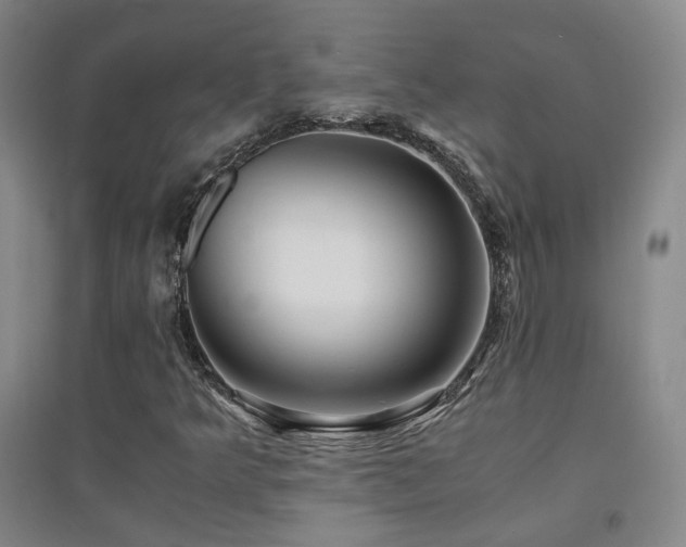 X0000094431349200711081217