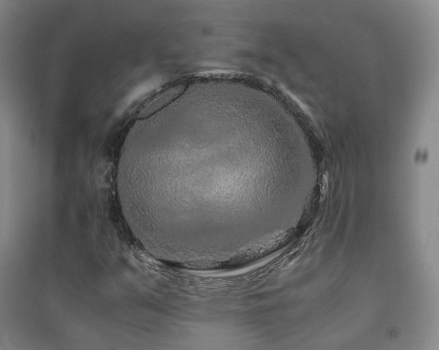 X0000094431351200711081216