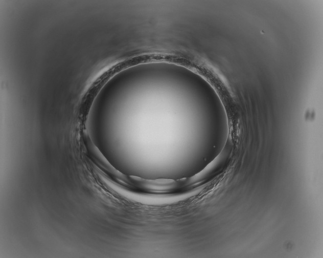 X0000094431352200711081216