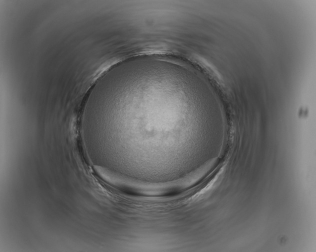 X0000094431353200711081216