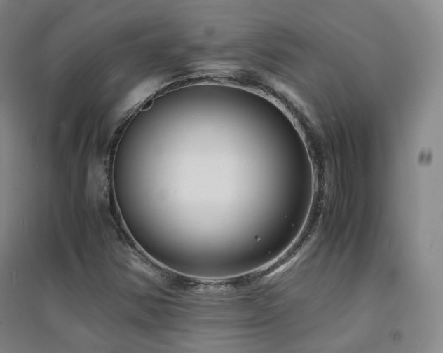 X0000094431354200711081216