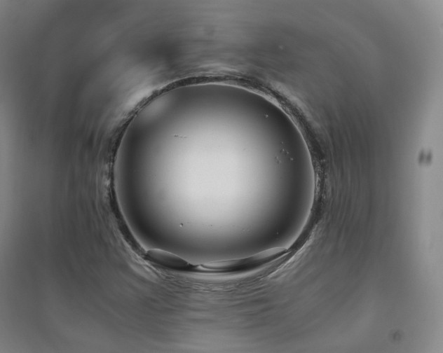 X0000094431355200711081216