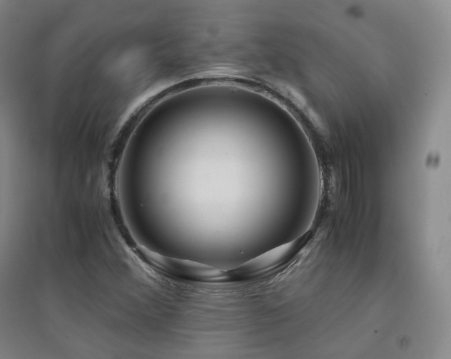 X0000094431356200711081216
