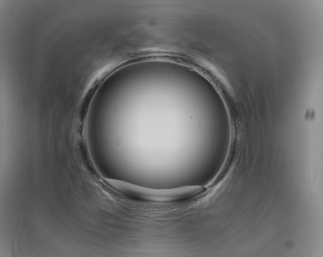 X0000094431357200711081216