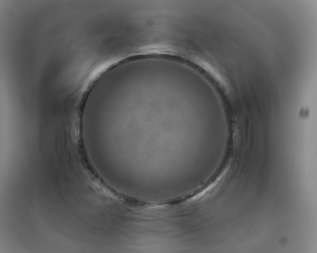 X0000094431358200711081216