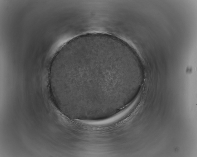 X0000094431359200711081216