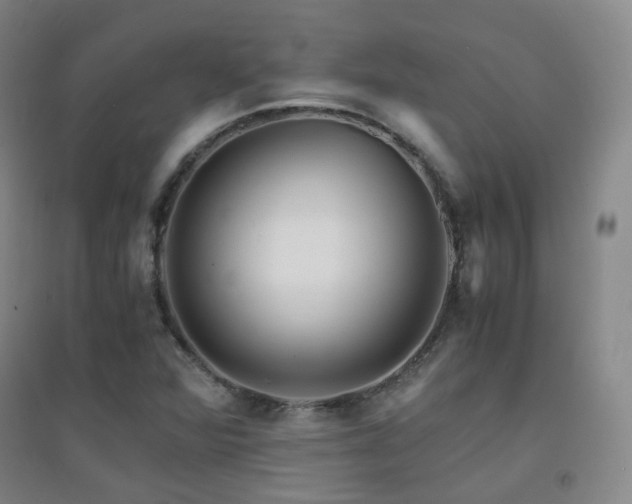 X0000094431360200711081216
