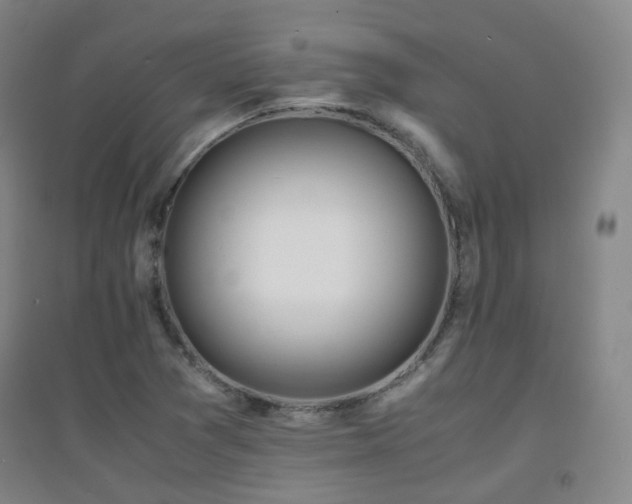 X0000094431361200711081216