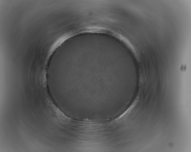 X0000094431362200711081216