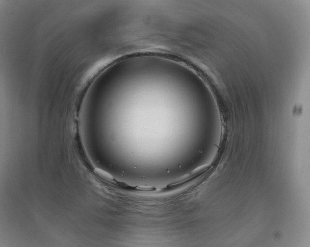 X0000094431363200711081216