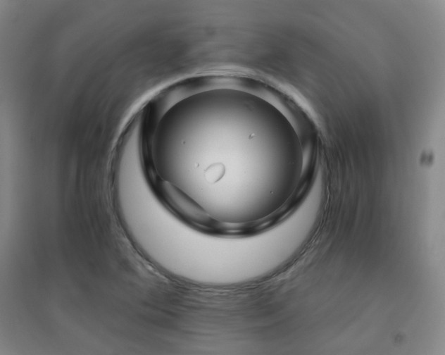 X0000094431364200711081216