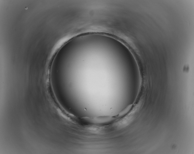 X0000094431366200711081216