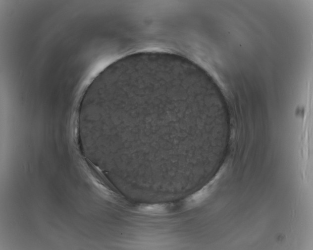 X0000094431367200711081216