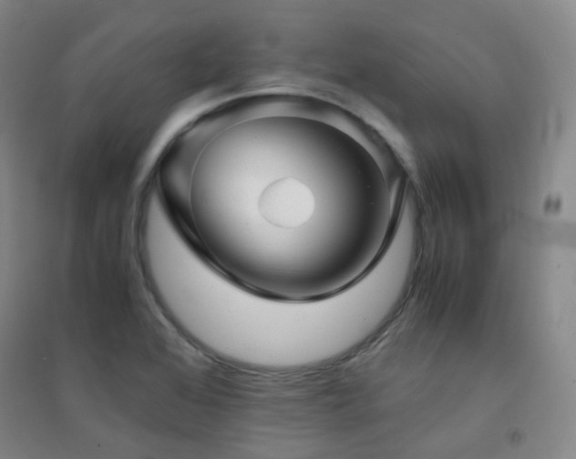 X0000094431368200711081216