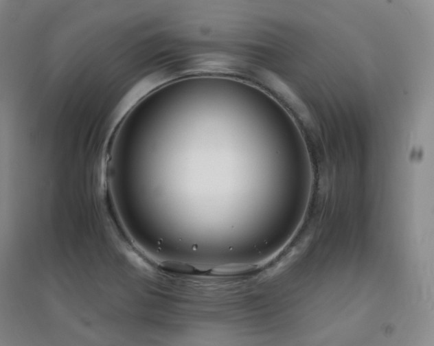 X0000094431370200711081216