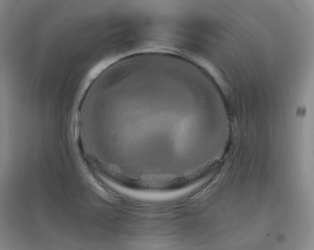 X0000094431371200711081216