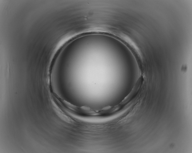 X0000094431372200711081216