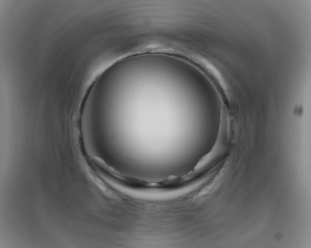 X0000094431373200711081216
