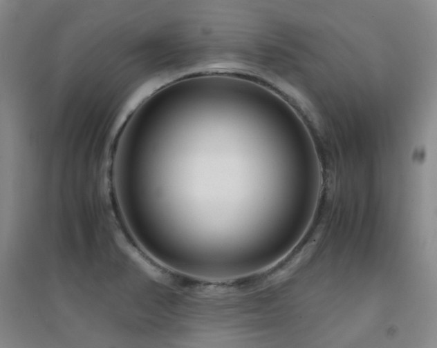 X0000094431374200711081216
