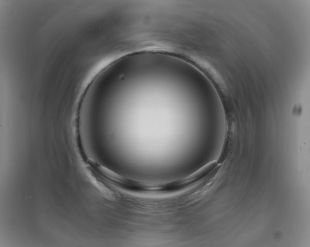 X0000094431375200711081216