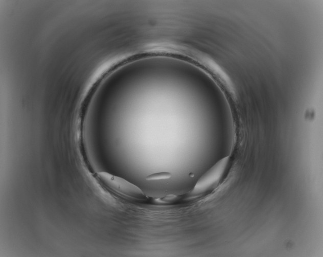 X0000094431376200711081216
