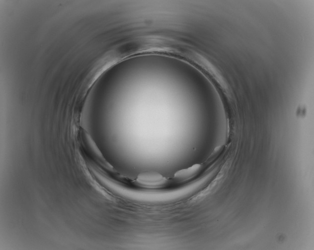 X0000094431377200711081216