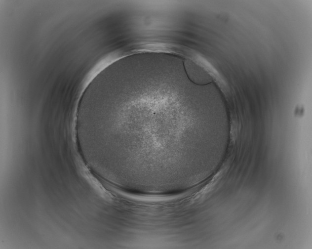 X0000094431378200711081216