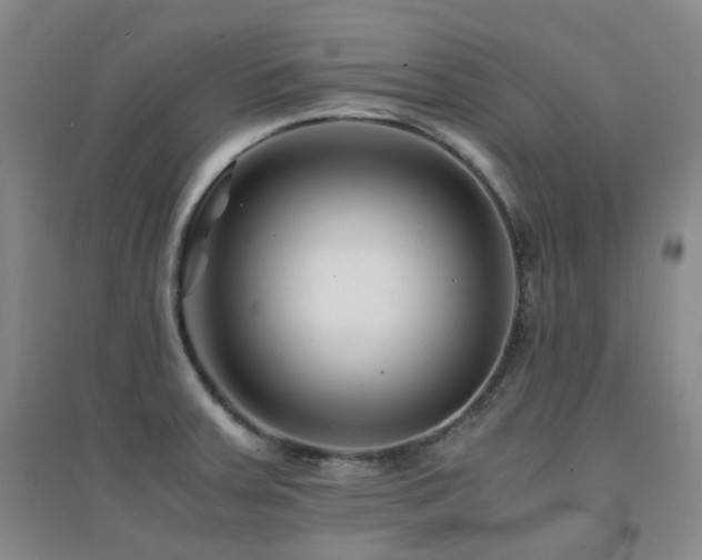 X0000094431379200711081216