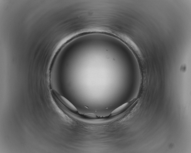X0000094431380200711081216