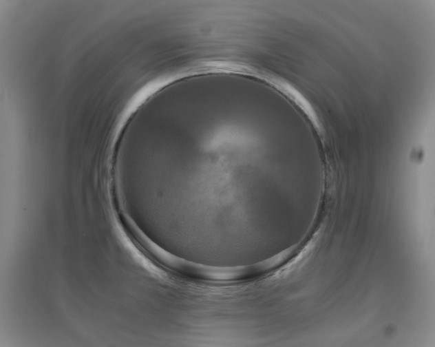 X0000094431381200711081216