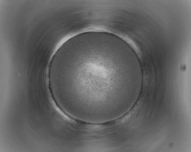 X0000094431382200711081216