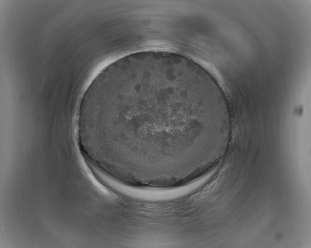 X0000094431383200711081216