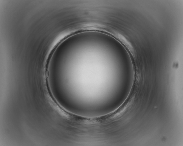 X0000094431384200711081216