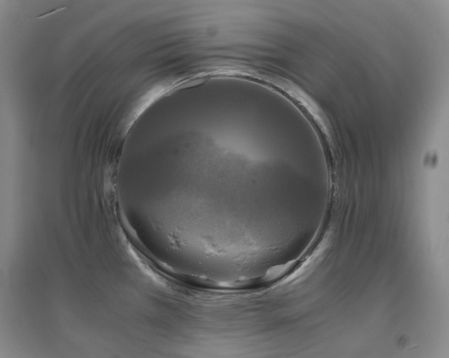 X0000094431385200711081216