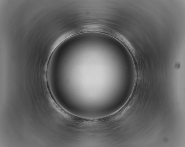 X0000094431386200711081216