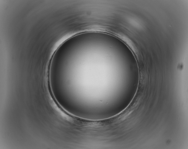 X0000094431387200711081216