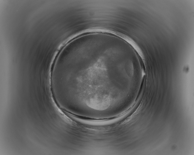 X0000094431388200711081216