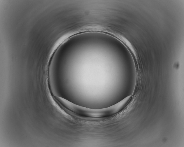 X0000094431389200711081216