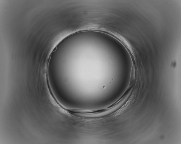 X0000094431390200711081216