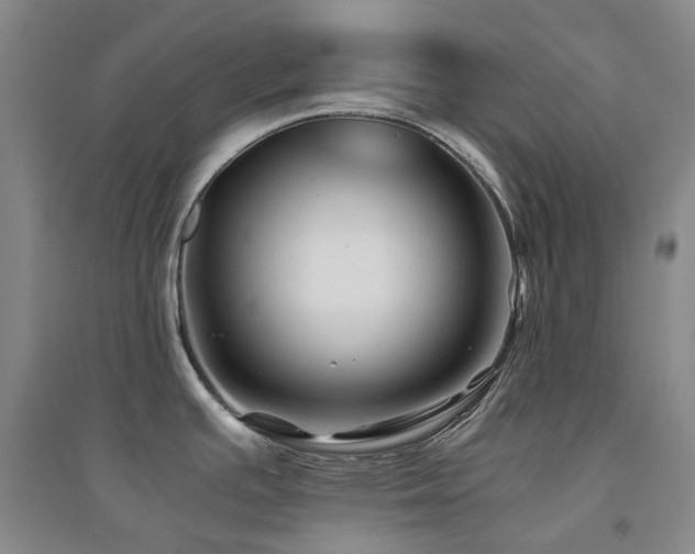 X0000094431391200711081216