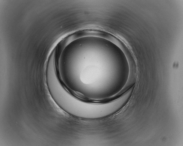 X0000094431392200711081216