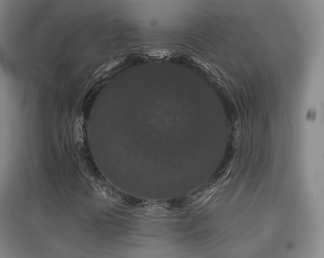 X0000094431394200711081215