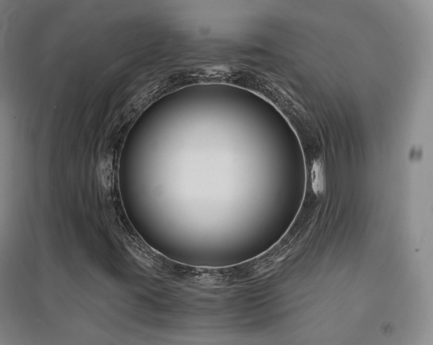 X0000094431395200711081215