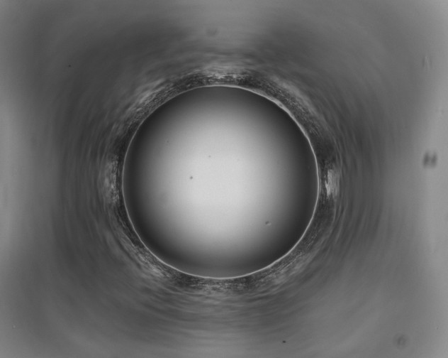 X0000094431396200711081215