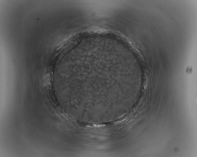 X0000094431397200711081215