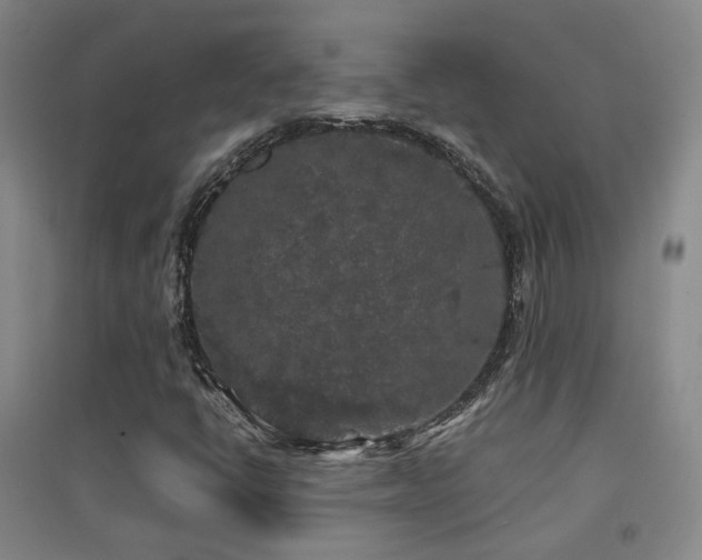 X0000094431398200711081215