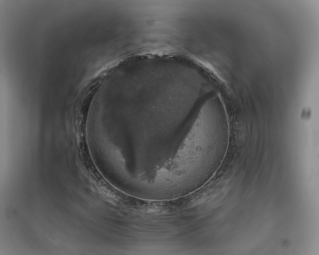 X0000094431399200711081215